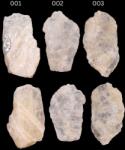  Petalit Alb Brut Natural - 27-56 x 18-27 x 8-15 mm - Aspect Pur pentru Cadou Spiritual si Protectie Subtila - ( XL ) - 1 Buc