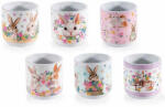 Decorer Set 6 ghivece Paste Ø 9 cm x 9 H (A61.00.58)