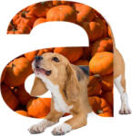 Alleva Natural Dog Lamb & Pumpkin Puppy All Breeds (2 x 12 kg) 24kg