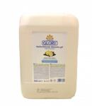 Glory Kéz- és bőrfertőtlenítő gél 5 liter Glory (43349) - irodasziget