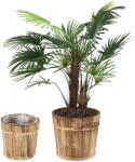 Relaxdays Ghiveci de flori din lemn Relaxdays, set de 2 (10067551)