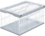 Relaxdays Cutie de transport transparentă Relaxdays cu capac (10032263)