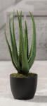 AdTrend Aloe artificiala in ghiveci 55 H (57649)