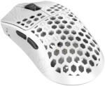 Endgame Gear Tenko Akitsu Medium (AR-25-AKITSUM-WH) Mouse