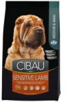 CIBAU Sensitive Lamb Medium/Maxi 2x14kg