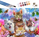  Naturzon | Kreatív festés számok szerint - macskák (DS57203715)