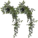 Relaxdays Plante artificiale suspendate Relaxdays, set de 2 (10097098)