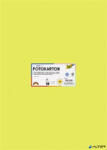 FOLIA Dekorkarton, 2 oldalas, 50x70 cm, 300 g, 10 lap, FOLIA, lime (6149) - alter