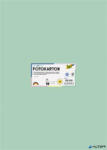 FOLIA Dekorkarton, 2 oldalas, 50x70 cm, 300 g, 10 lap, FOLIA, menta (6125) - alter