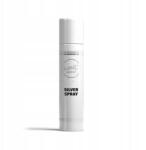Słodki Bufet Festék spray Słodki Bufet Ezüst 75 ml Silver Spray (9609)