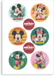 Dekora Mix de imagini comestibile - Mickey și Minnie Mouse