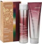 Joico Set Sampon + Balsam Defy Damage, 300ml + 250ml, Joico