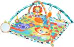 Playgro Музикална активна гимнастика Playgro - Веселата градина (PG.0617)