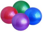 Sportmann Minge masaj SPORTMANN 55 cm (SM_SM2051) Aparat de masaj