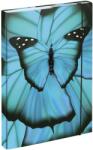 Baagl Füzettartó A4 BAAGL Butterfly (A-33024)