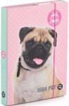 KARTON P+P ISHA - My love Pet A5-ös füzettartó box (5-76620)