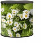 ProfiReklám PROFESSIONAL Original M Pult - profi-reklam - 105 029 Ft