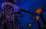  Öntapadó és mosható falfestmény Singapore Park 1, 250 x 200 cm