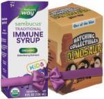 Nature's Way Sambucus Organic Sirop pentru copii, 120 ml, Nature's Way