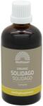 Mattisson Healthstyle Organic Solidago Complex, tinctură, 100 ml, Mattisson Healthstyle