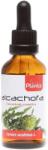 Artesania Agricola Plantis Tinctură de anghinare, 50 ml, Artesania Agricola