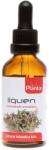 Artesania Agricola Plantis Tinctură de lichen islandez, 50 ml, Artesania Agricola