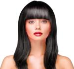 PartyPal Paróka hosszú, egyenes, fekete (142905)