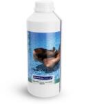 Astral Pool Algaecide Extra habzásmentes algagátló 1 liter (11422) - korleand