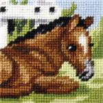 Orchidea Hímzőkészlet Kezdőknek Az Én Első Hímzésem Csikó