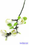 Magnolia ág 4v 67cm - Fehér