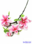 Magnolia ág 3+1v 56cm - Rózsaszín