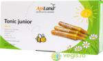 APILAND Tonic Junior 10 fiole