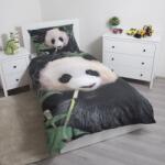 Jerry Fabrics Ágyneműhuzat fotónyomtat Panda 02 (01202-PANDA00002A)