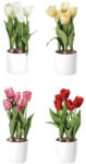 AdTrend Set 4 ghivece Lalele artificiale 15 x 49 cm (74879)