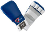 Ju-Sports Manusi Ju-Sports Mitt Pro Albastre (6206200)