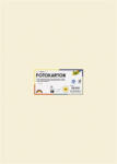 FOLIA Dekorkarton, 2 oldalas, 50x70 cm, 300 g, 10 lap, FOLIA, bézs (FL6108) (FL6108)