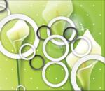  Fekete-fehér ösvény és kör tapéta, 350 x 250 cm