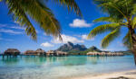  Média tapéta, egzotikus Bora Bora, 270 x 200 cm