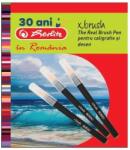 Herlitz Carioci Herlitz X. Brush, set 6+1, blister (400200060)