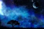  Háttérkép Univers9 Fa a csillagok között, 350 x 200 cm