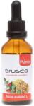 Artesania Agricola Plantis Tinctură de frunze de ciulin, 50 ml, Artesania Agricola