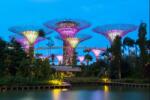  Öntapadó és mosható falfestmény Singapore Park 4, 200 x 150 cm