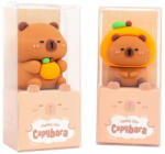  Fandy Hegyező Egylyukú Capybara Vegyes Mintákban (AAE372)