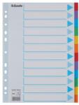 ESSELTE Regiszter, karton, A4, 12 részes, írható előlappal, ESSELTE „Standard, színes (E100194)