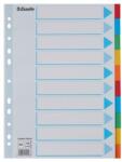 ESSELTE Regiszter, karton, A4, 10 részes, írható előlappal, ESSELTE „Standard, színes (E100193)
