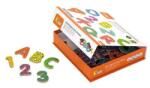 Viga Toys Set de litere si numere magnetice (77 piese) (59429VG) - bekid