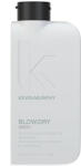 KEVIN.MURPHY Blow Dry Wash възстановяващ шампоан за всички видове коса за жени 40 мл
