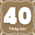 Dekory Studio Házszám tábla 40