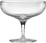 Serax Pahare de șampanie Inku plate, 150 ml, 4 buc (B0820007) Pahar