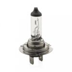Carguard Bec halogen H7 55W +30% intensitate CARGUARD BHA054 (BHA054)